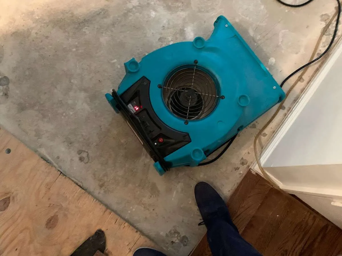 Air mover drying subfloor during Commercial Water Damage Restoration in Mercer Island